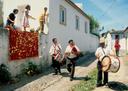 We found out later that the festival honors important public figures who follow this band and have more flower petals thrown on them by the townspeople.